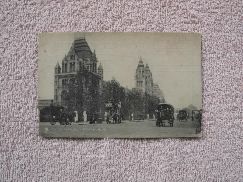 1908 - London, natural history museum. Paard en wagen enz, Verzamelen, Ansichtkaarten | Buitenland, Ophalen of Verzenden, Voor 1920
