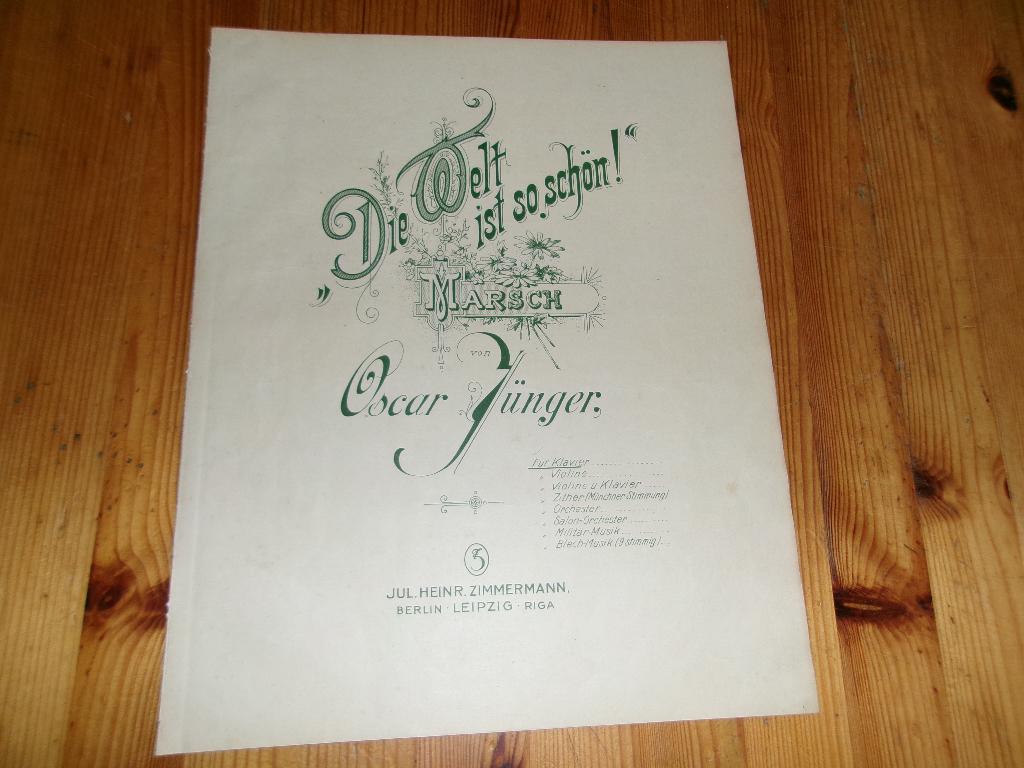 Oscar junger - die welt ist so schon, Gebruikt, Ophalen of Verzenden, Artiest of Componist, Piano