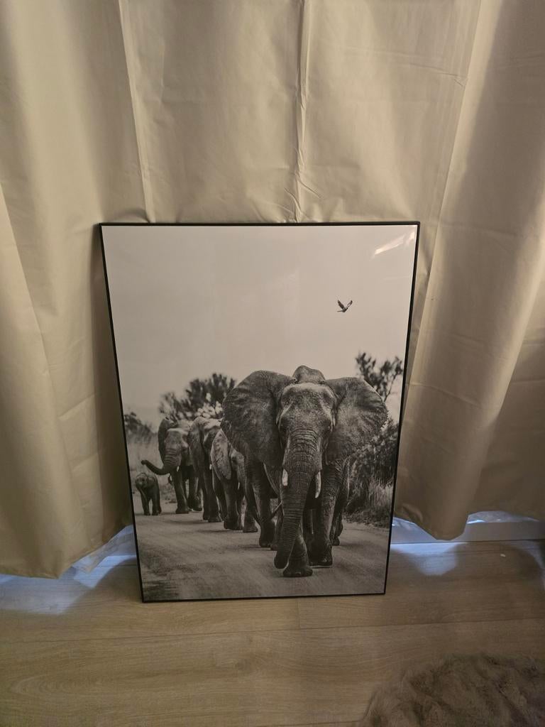 Schilderij olifanten, Ophalen of Verzenden