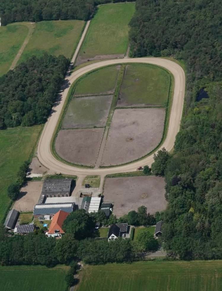 Pension stalling aangeboden op een unieke bosrijke locatie., Ophalen of Verzenden, Nieuw, Overige soorten