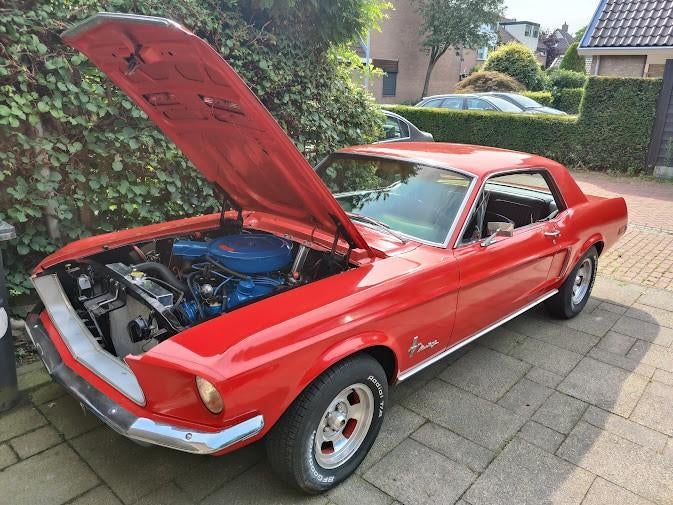 Gestolen, Auto's, Automaat, Achterwielaandrijving, Particulier, Mustang