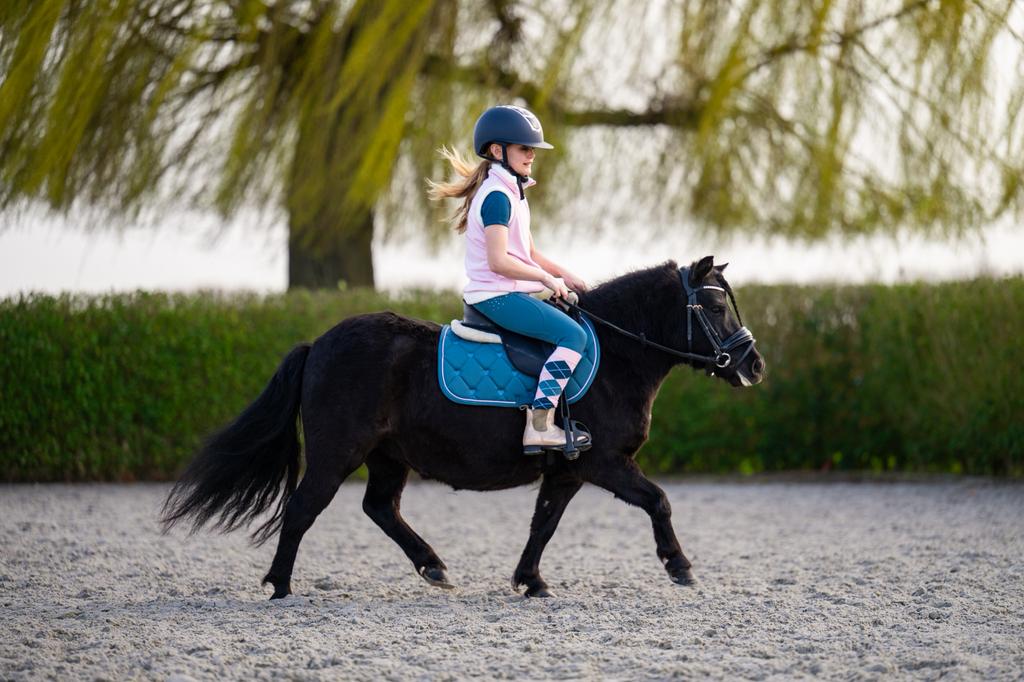 Hele knappe bereden en betuigde shetlander merrie, Dieren en Toebehoren, Pony's, Zadelmak, A pony (tot 1.17m), 3 tot 6 jaar, Recreatiepony