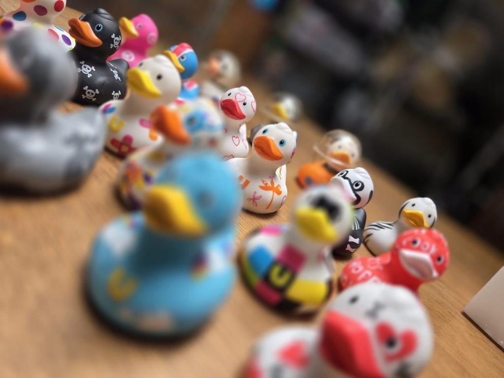 Bud Ducks, Verzamelen, Ophalen of Verzenden