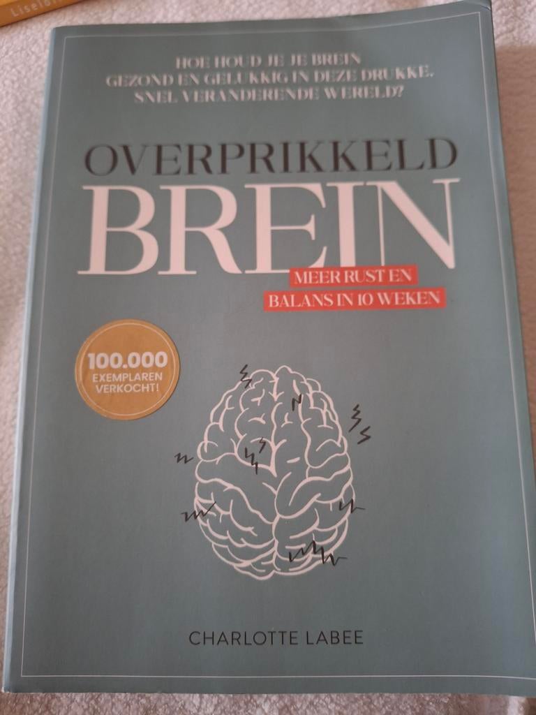 Charlotte Labee - Overprikkeld brein, Ophalen of Verzenden, Zo goed als nieuw, Charlotte Labee
