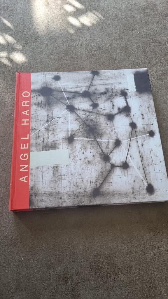 Angel Haro: Obra 1982-1999 - Kunstboek, Boeken, Ophalen of Verzenden, Zo goed als nieuw, Overige onderwerpen, Angel Haro