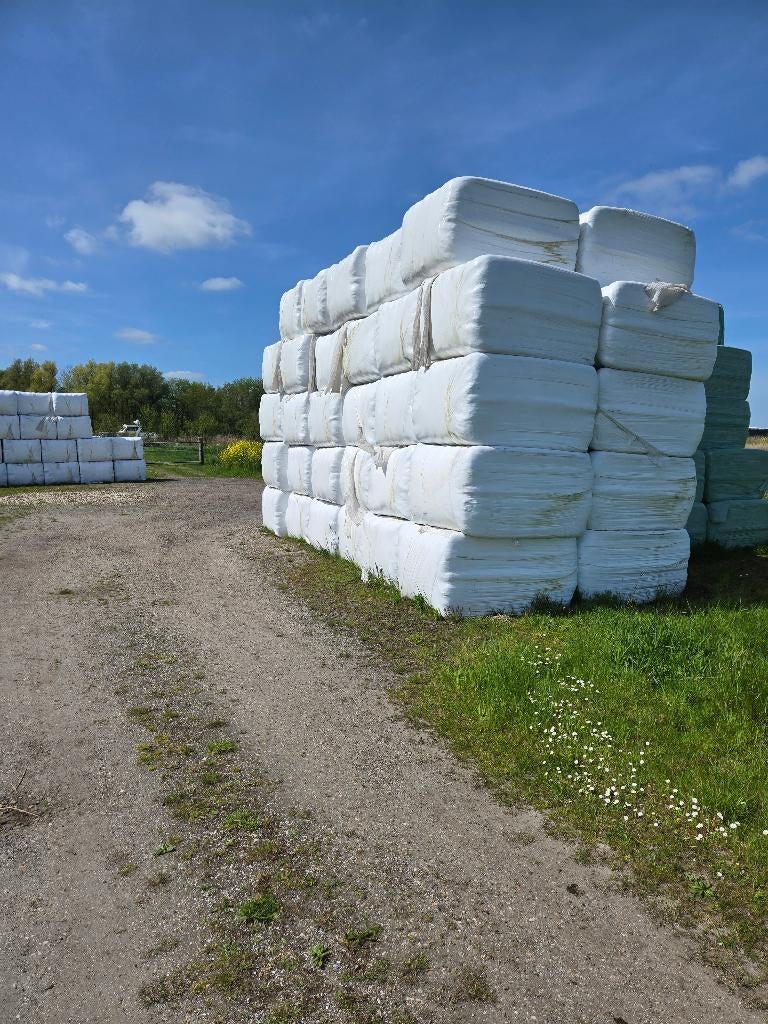 Hooibalen, Dieren en Toebehoren, Dierenvoeding, Ophalen of Verzenden, Vee