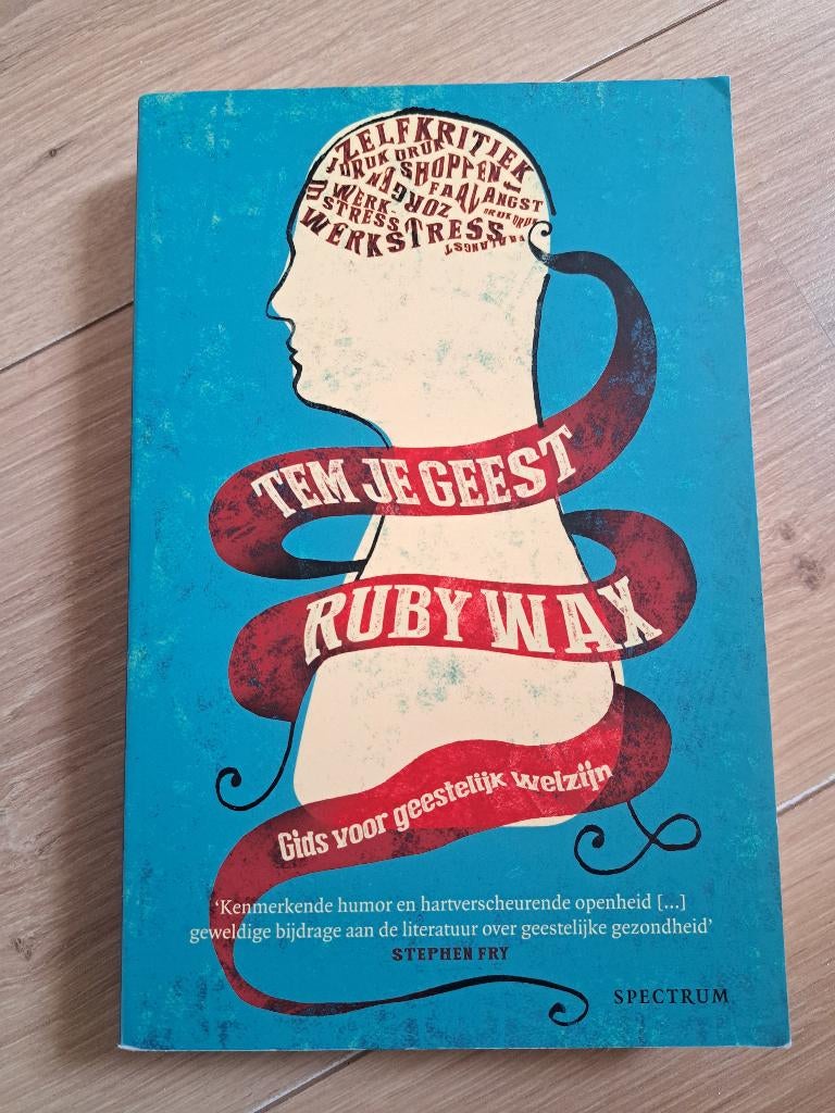 Tem je geest, Boeken, Ophalen of Verzenden, Zo goed als nieuw