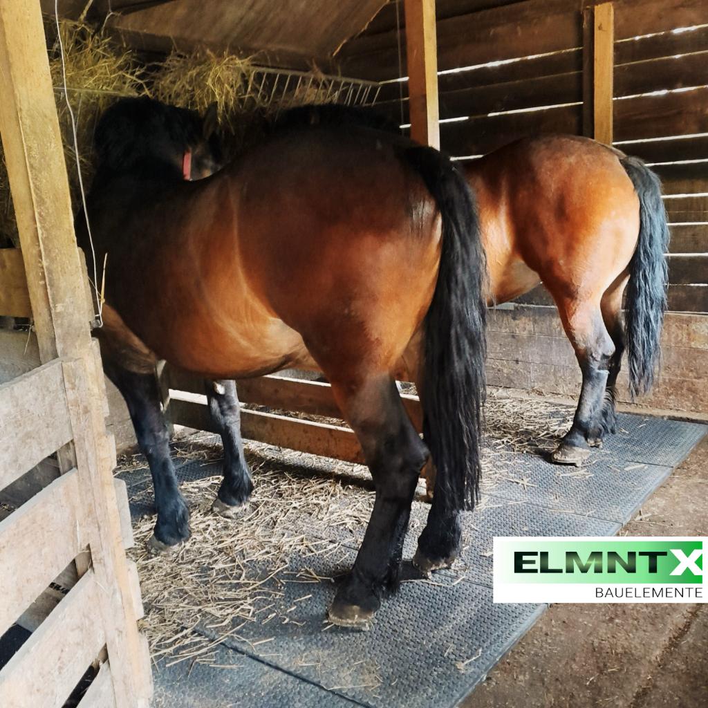 Massieve paddockplaat & stalmat 120x80 cm (35 kg), Toebehoren