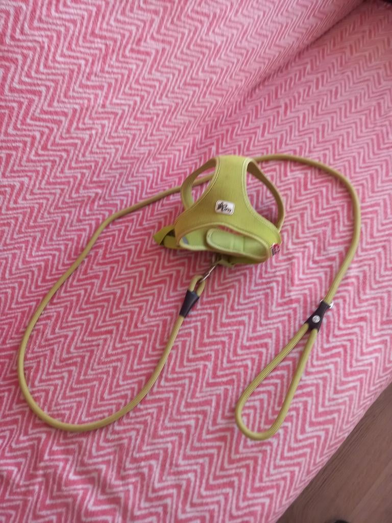 Te koop 2 mooie hondenteugjes, Ophalen