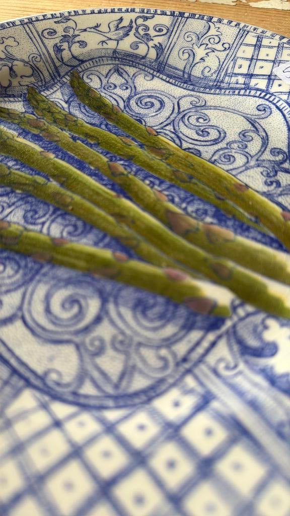 Gien JARDIN BLEU ASPERGE, Huis en Inrichting, Keuken | Servies, Ophalen of Verzenden, Porselein, Overige stijlen, Bord(en)