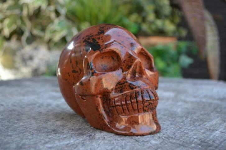 22.4 Mahonie Obsidiaan schedel XXL, Nieuw, Ophalen of Verzenden, Nvt, Nvt