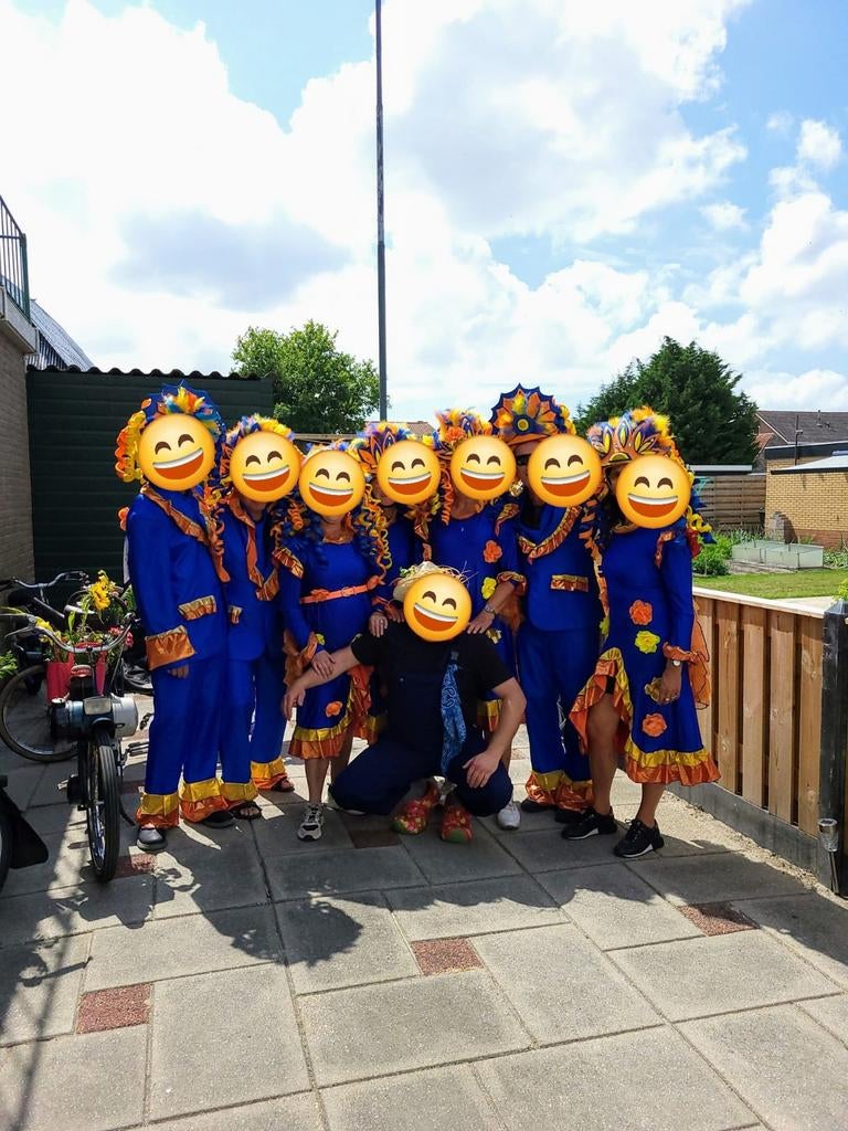 11 hele leuke carnaval pakken, Ophalen of Verzenden, Zo goed als nieuw, Maat 46/48 (XL) of groter, Carnaval