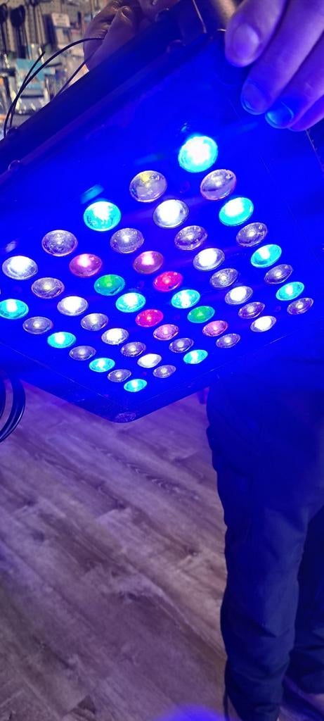 Zeeaquarium lampen, Dieren en Toebehoren, Vissen | Aquaria en Toebehoren, Ophalen, Verlichting of Verwarming