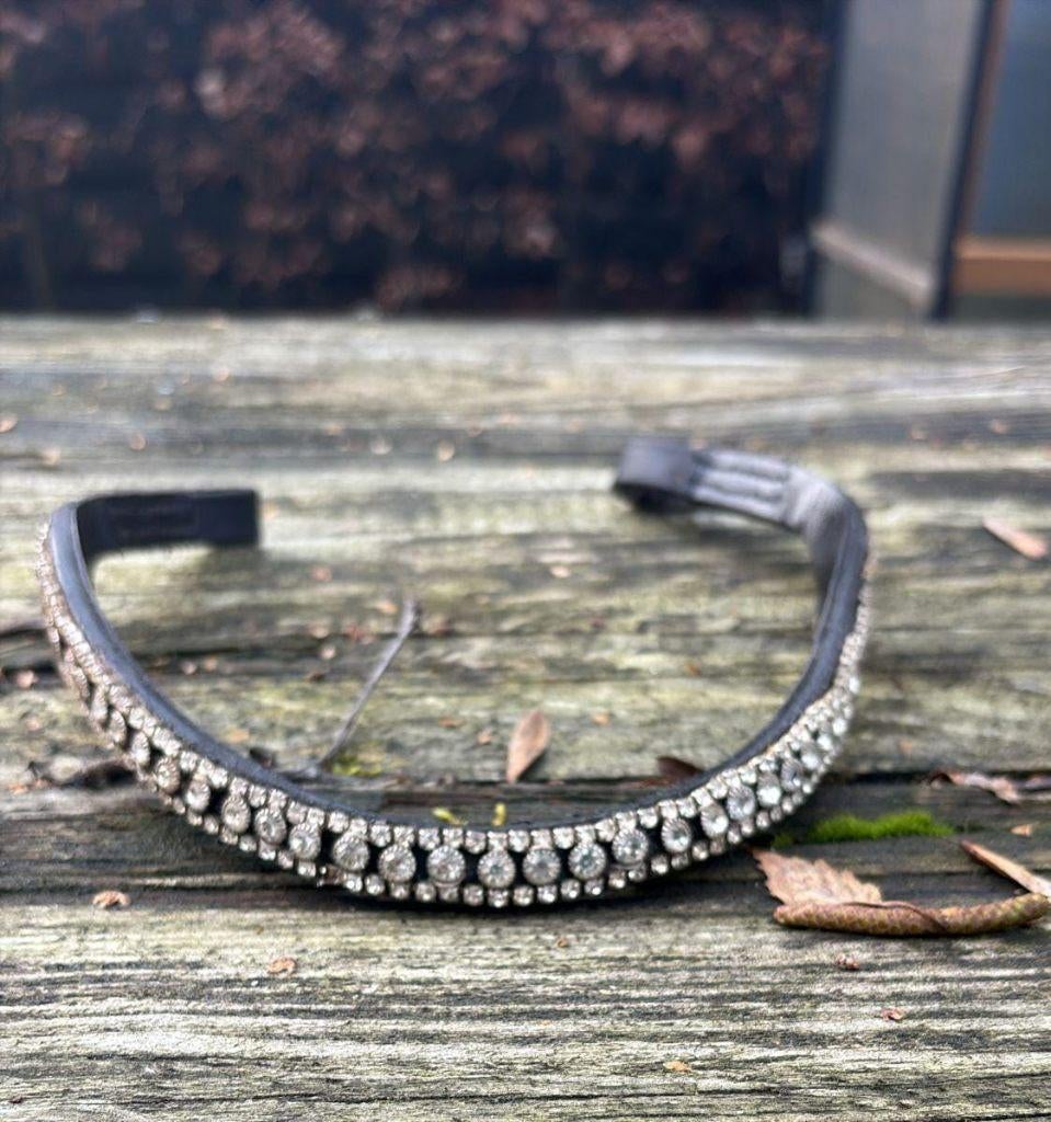 Frontriem Zilver, Ophalen of Verzenden, Gebruikt, Dressuur