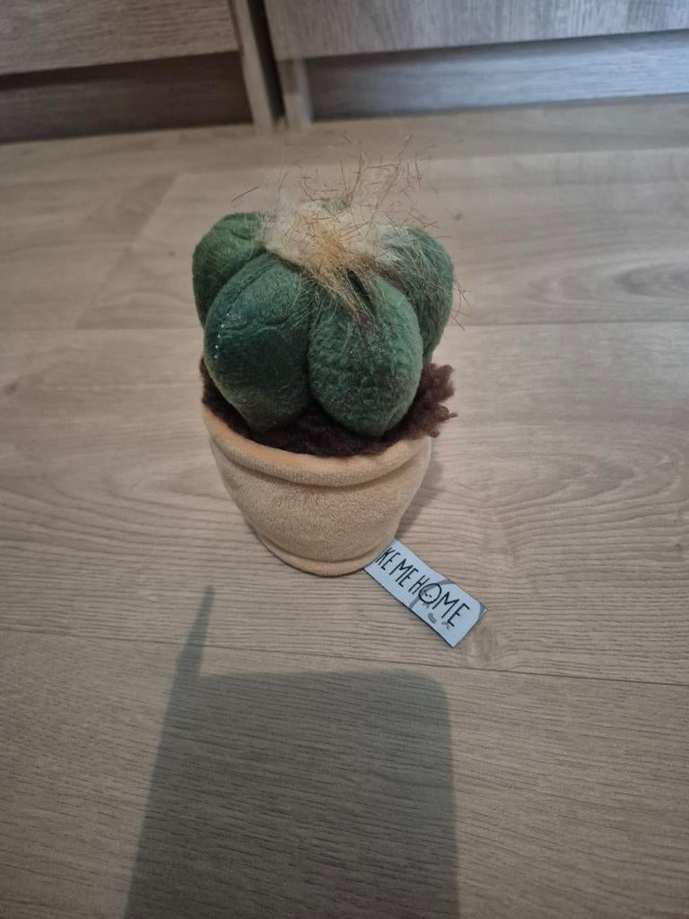 knuffel plant cactus take me home, Ophalen of Verzenden, Zo goed als nieuw, Overige typen