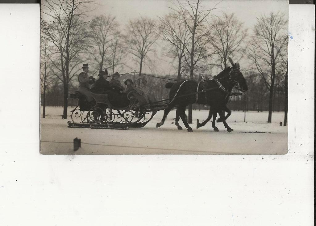 Den Haag Koninklijke familie in arreslee Fotokaart, Ophalen of Verzenden, 1920 tot 1940, Ongelopen, Zuid-Holland