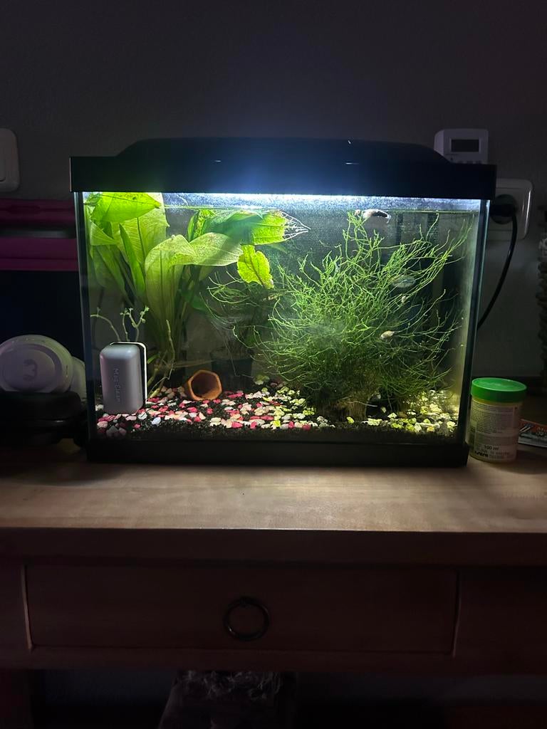 Te koop Aquarium met alles erbij, Ophalen, Zo goed als nieuw, Leeg aquarium