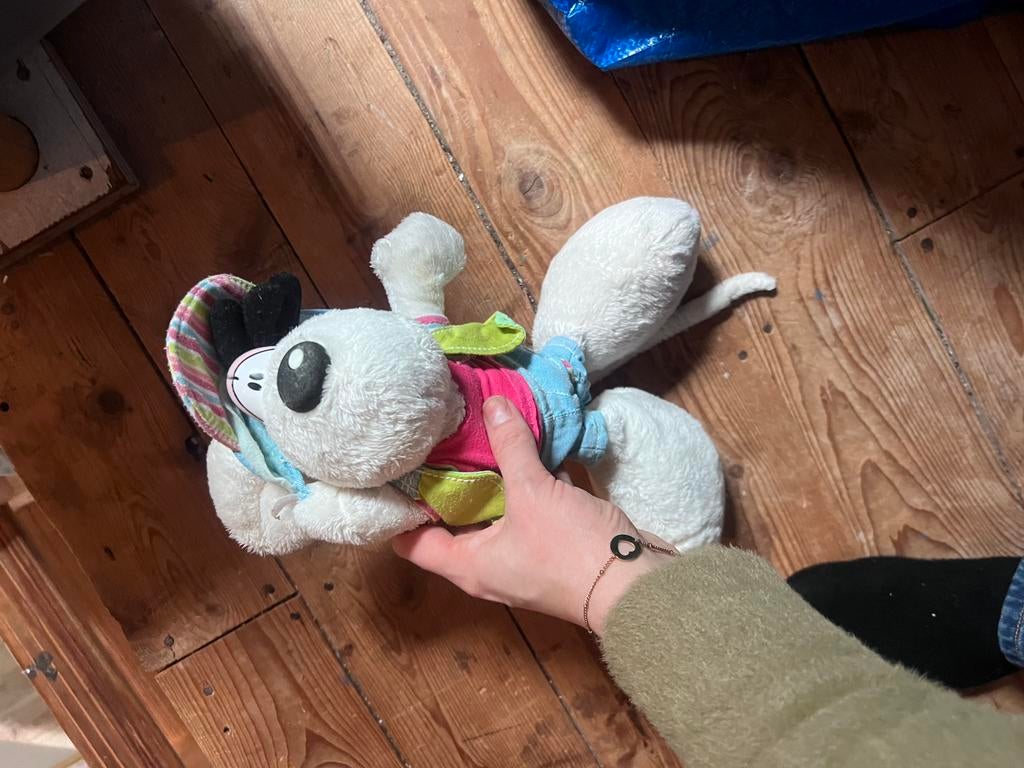 Knuffel diddl, Verzamelen, Diddl, Ophalen of Verzenden, Gebruikt, Knuffel