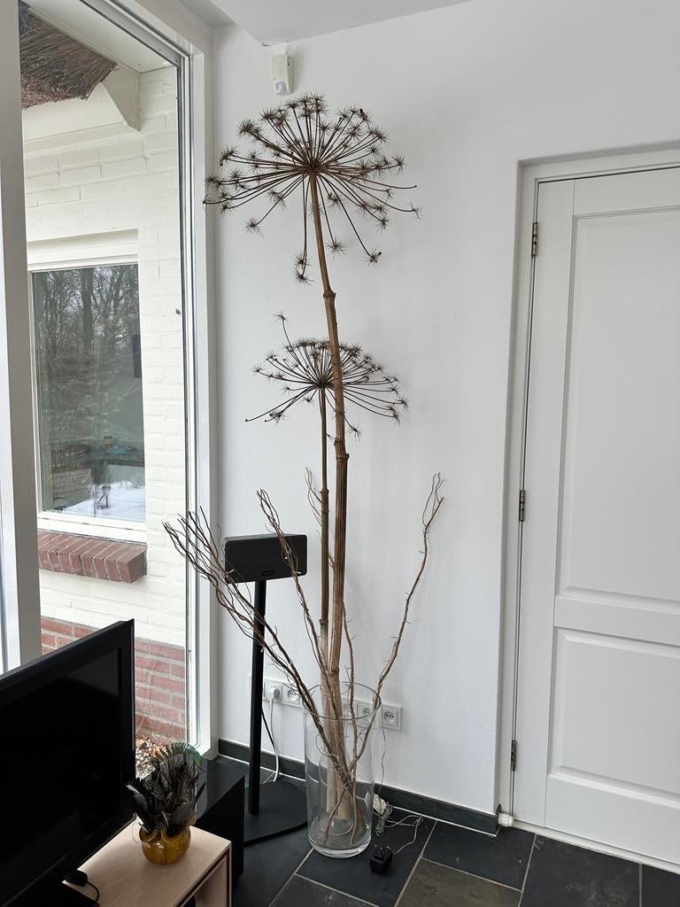 Grote Berenklauw decoratie - 215cm en 160cm, Ophalen of Verzenden, Gebruikt