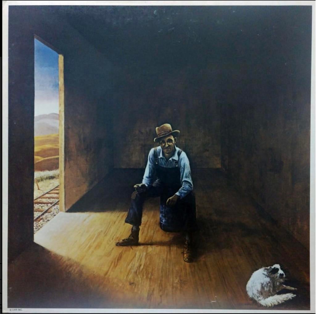 Don McLean - Homeless Brother LP, Ophalen, Gebruikt, 12 inch