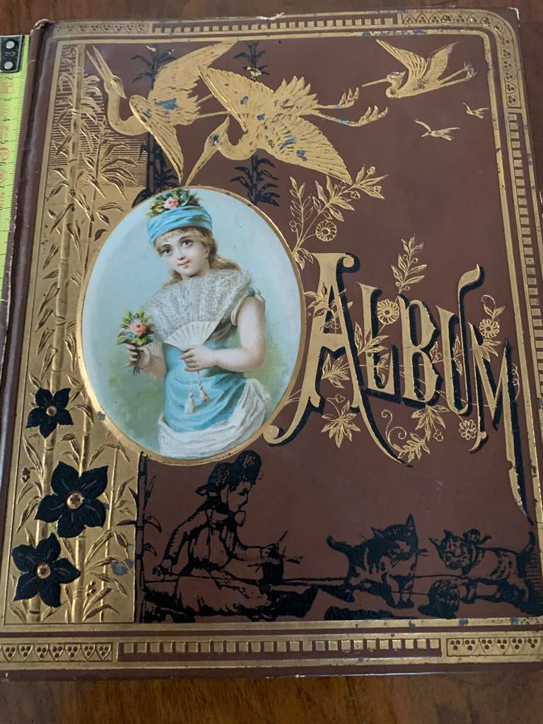 Oud Poesiealbum met super afbeeldingen, Ophalen of Verzenden