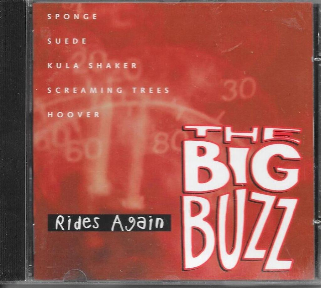 CD The Big Buzz, Ophalen of Verzenden, Gebruikt, Poprock
