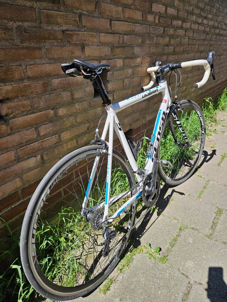 Sensa Umbria maat 58, Gebruikt, 57 tot 61 cm, Meer dan 20 versnellingen, Ophalen