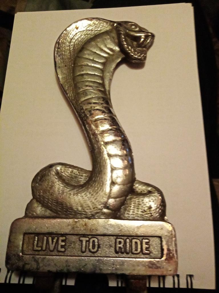 Originele Shelby Mustang Bumper embleem, Auto-onderdelen, Gebruikt, Ophalen of Verzenden, Bumper, Amerikaanse onderdelen