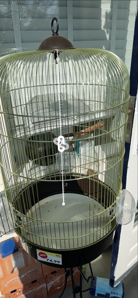 Vogelkooi 35 diameter x 60 cm hoog, Dieren en Toebehoren, Vogels | Parkieten en Papegaaien, Vrouwelijk, Parkiet