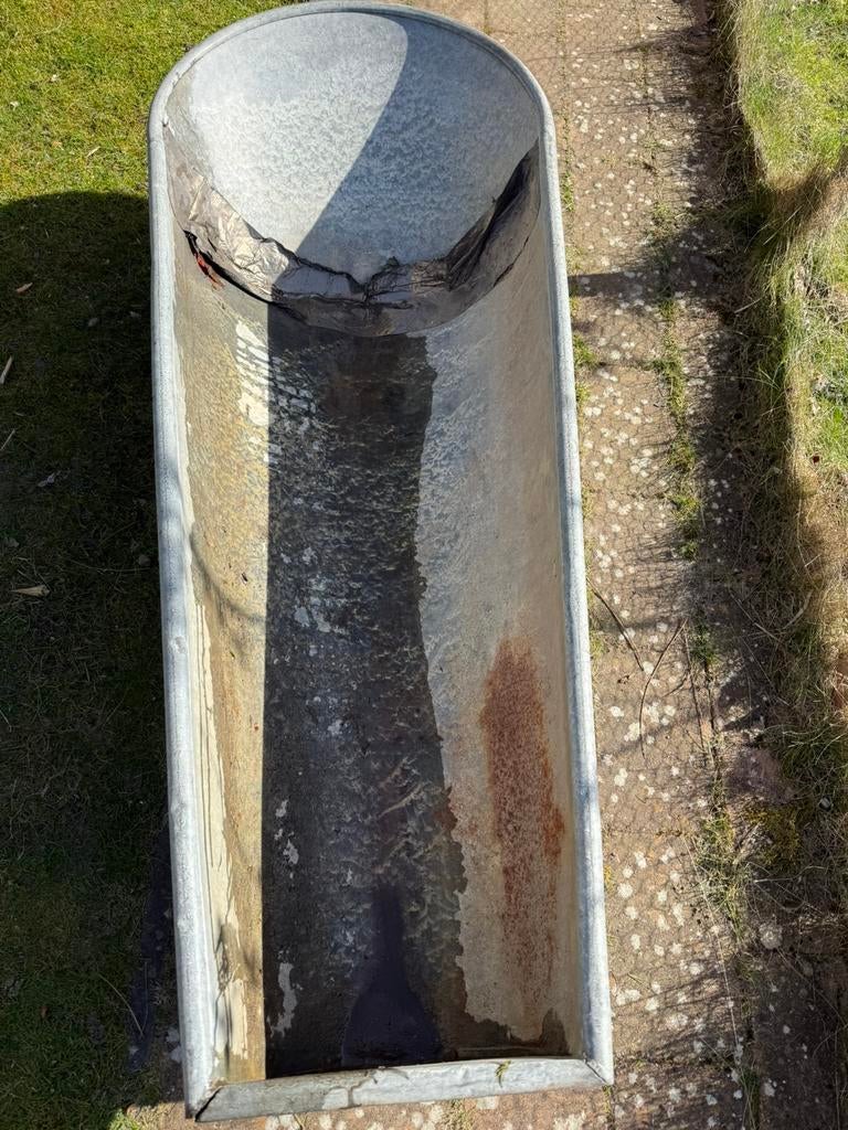 Zinken bad, lek! Gratis.