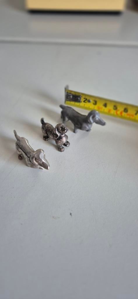 Teckels, Ophalen of Verzenden