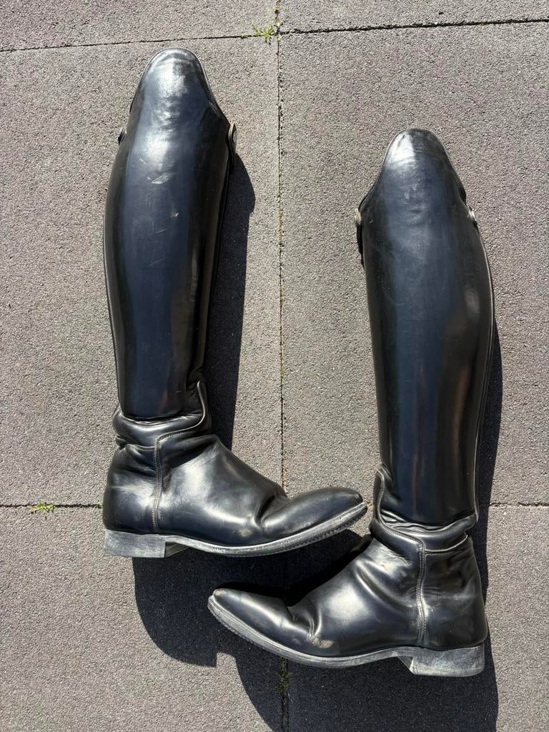 Celeris paardrijlaarzen maat 43, Dieren en Toebehoren, Gebruikt, Dames, Overige soorten, Ophalen of Verzenden