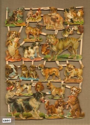 Lieve, grote & kleine honden poezieplaatjes 7213, Ophalen of Verzenden