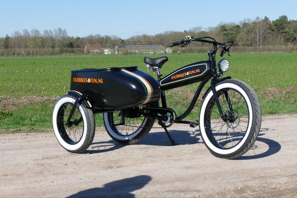Cruiser electrische fiets met zijspan, Fietsen en Brommers, Ophalen of Verzenden, Staal