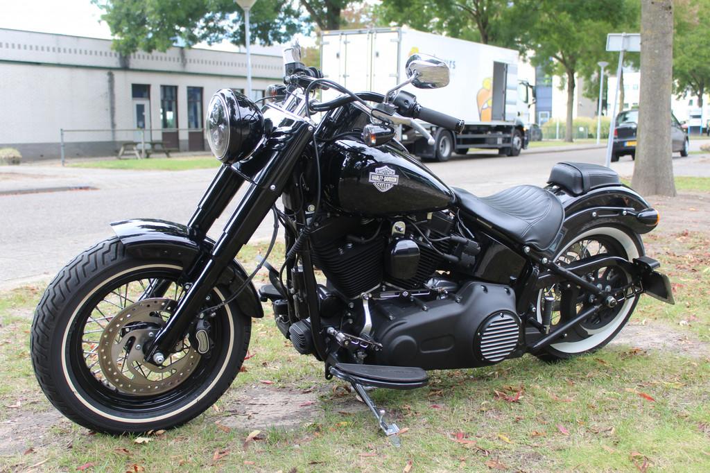 Harley-Davidson Softail FLS Softail Slim - foto 2