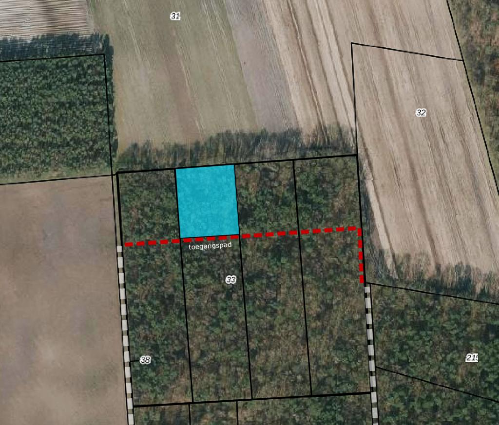 Bosperceel Grashoek - een heerlijk stukje natuur!, Huizen en Kamers, Kavels en Percelen, Eindhoven, 1500 m² of meer
