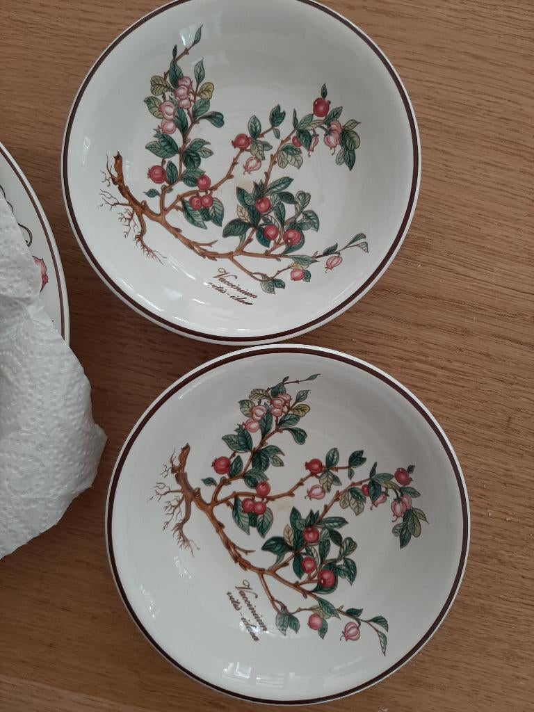 Vileroy en Boch botanica servies, Antiek en Kunst, Antiek | Servies compleet, Ophalen