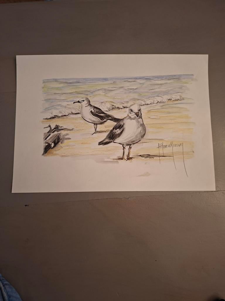 Aquarel tekening zeemeeuwen A4, Ophalen of Verzenden