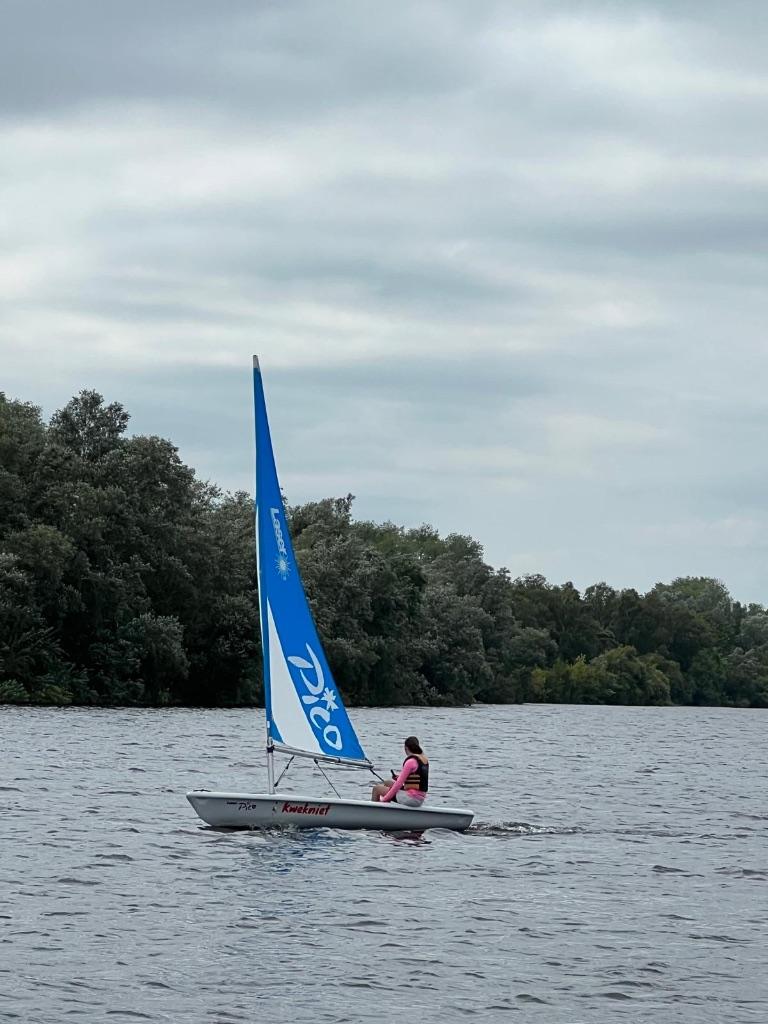 Laser pico zeilboot te koop, Watersport en Boten, Open zeilboten, Ophalen, Geen motor, Overige brandstoffen, Laser