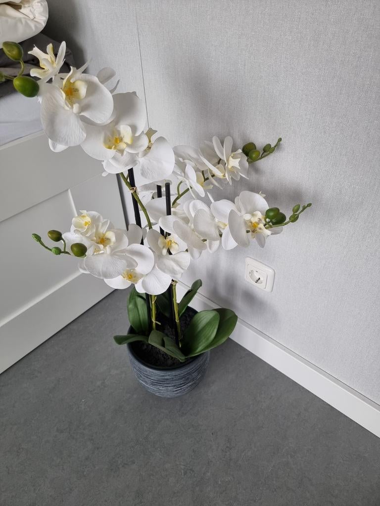 Kunststof orchidee, Huis en Inrichting, Woonaccessoires | Kunstplanten en Kunstbloemen, Ophalen
