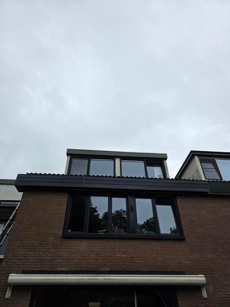 Dakkapellen en goten schoonmaken en renovatie, Ophalen of Verzenden
