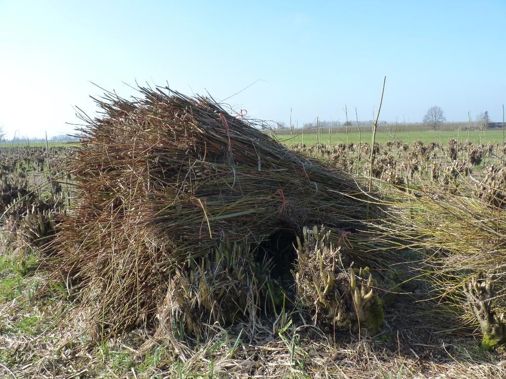 Beschoeiing 's hout., Ophalen, Nieuw, Overige typen