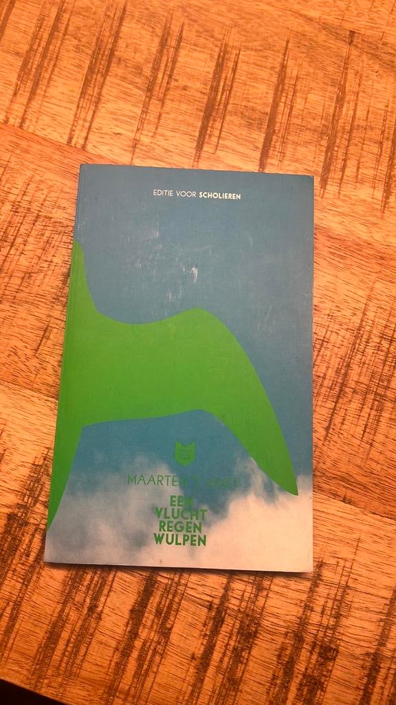 Maarten t’ Hart - Een vlucht regenwulpen, Ophalen of Verzenden, Zo goed als nieuw, Overige onderwerpen