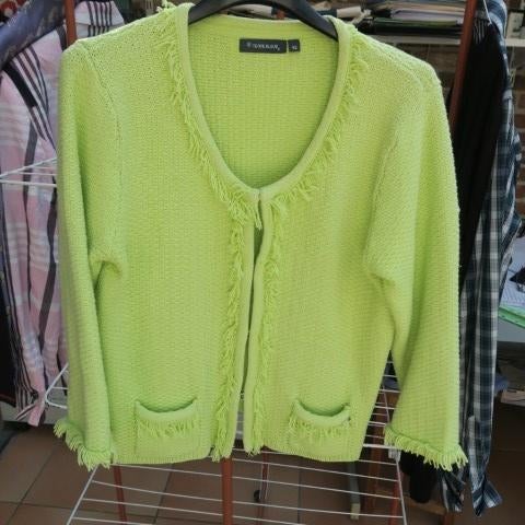 Gileetje geelgroen Terre Bleue mt 42, Kleding | Dames, Truien en Vesten, Zo goed als nieuw, Maat 42/44 (L), Geel, Ophalen of Verzenden