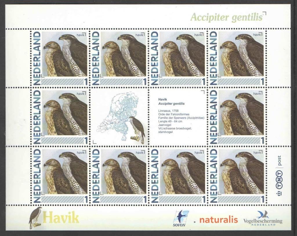 Postzegels Vogels in Nederland: Havik, Ophalen of Verzenden, Na 1940, Postfris