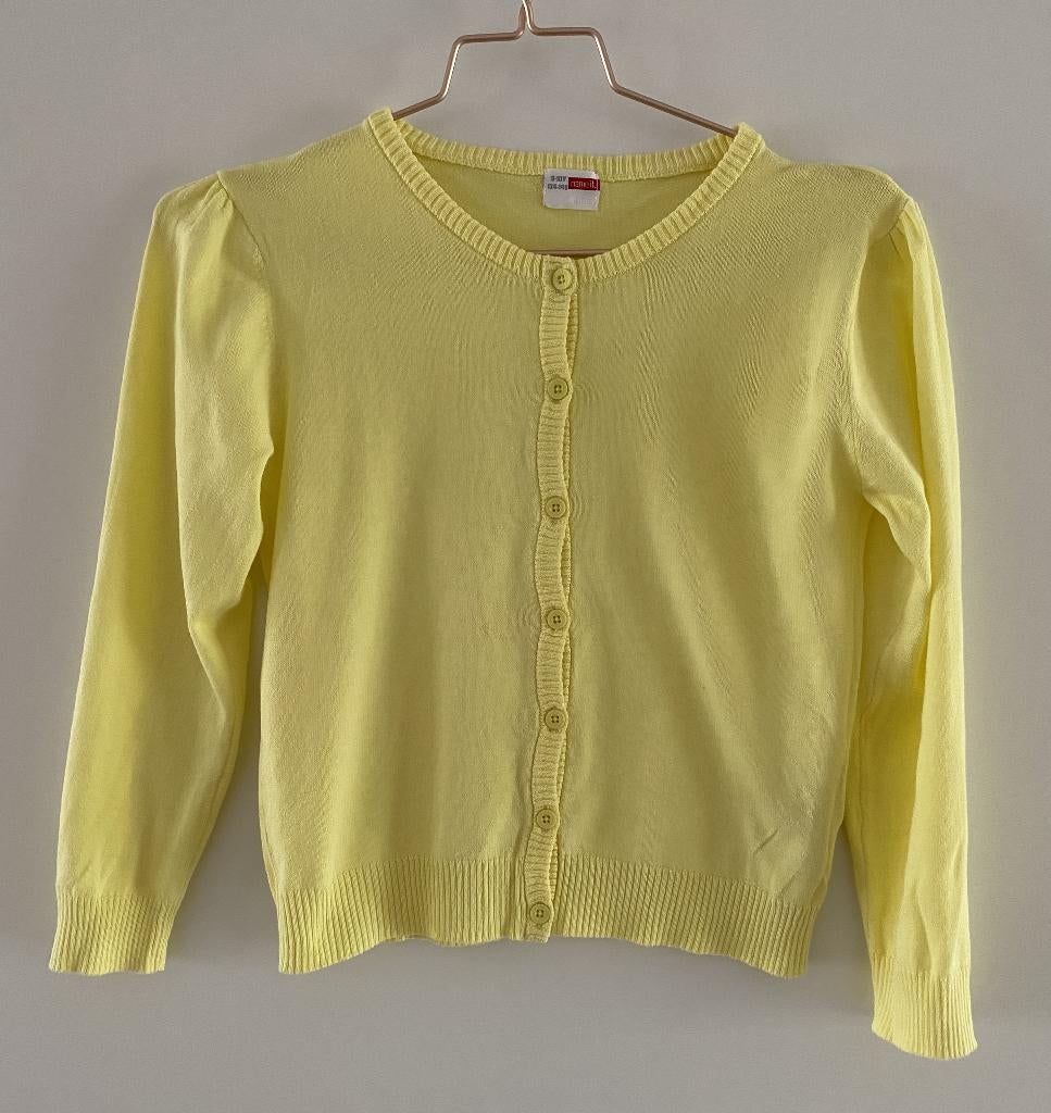 Prachtig zachtgeel vestje van Name It in maat 134/140, Kinderen en Baby's, Kinderkleding | Maat 134, Meisje, Trui of Vest, Ophalen of Verzenden