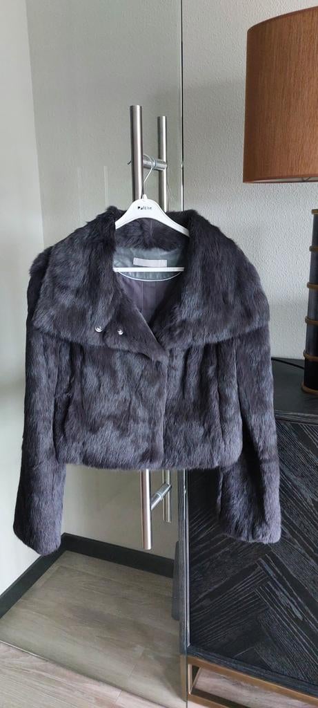 NIEUW bontjasje van DNA. Maat 2/M. Antraciet. Echt bont., Maat 38/40 (M), DNA, Nieuw, Ophalen of Verzenden