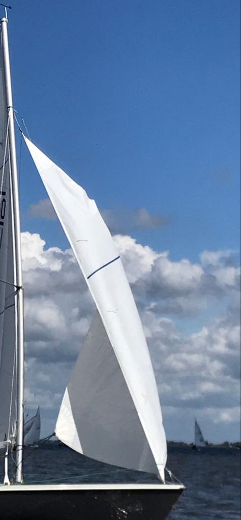 GEZOCHT: Rolfok voor Randmeer, Watersport en Boten, Zeilen en Zeiltoebehoren, Gebruikt, Minder dan 15 m², Ophalen of Verzenden