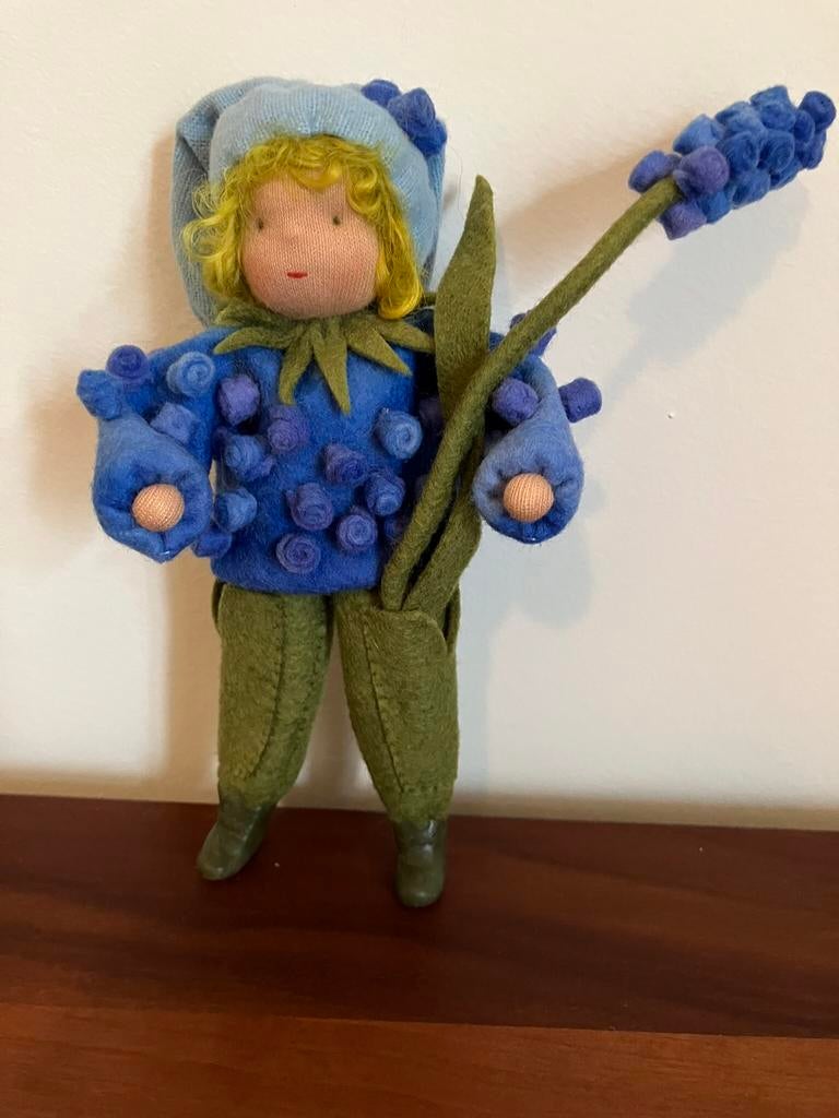 Blauwe druif mannetje, Ophalen of Verzenden, Zo goed als nieuw, Wolvilt