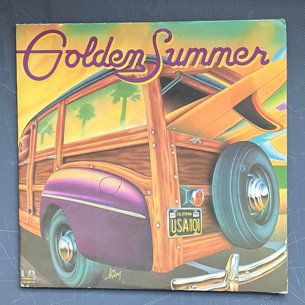 Dubbel LP - Surf Muziek - Golden Summer, Ophalen of Verzenden, 1960 tot 1980, Gebruikt, 12 inch